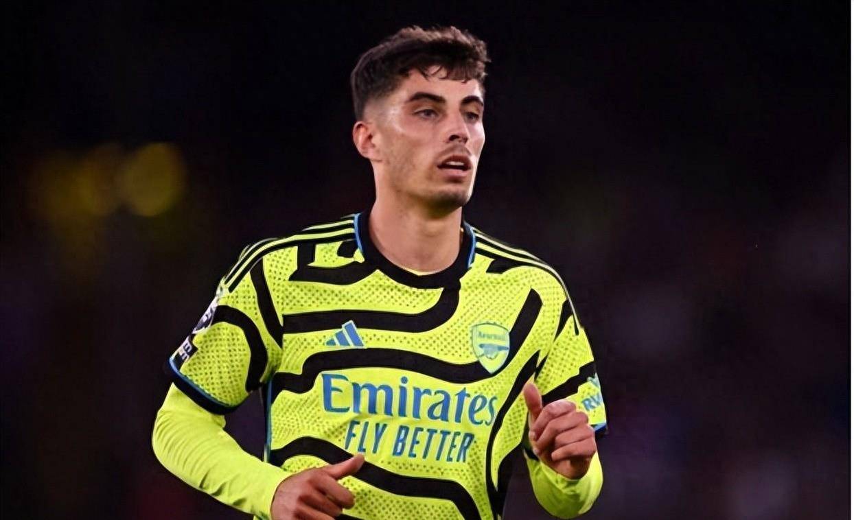 员们提供了 员们提供了